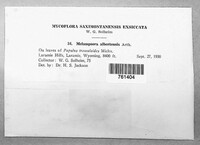 Image Associated With the Occurence